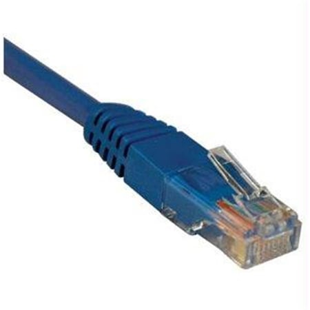 Doomsday Blue Molded Patch Cable DO538208